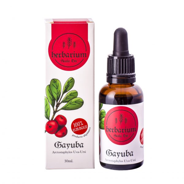 Tintura de Gayuba 30ml. 100% Bio (Arctostaphylos uva-ursi)